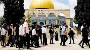 img184 القدس في 2024 .. استيطان وتهويد وتعاظم الخطر على الأقصى